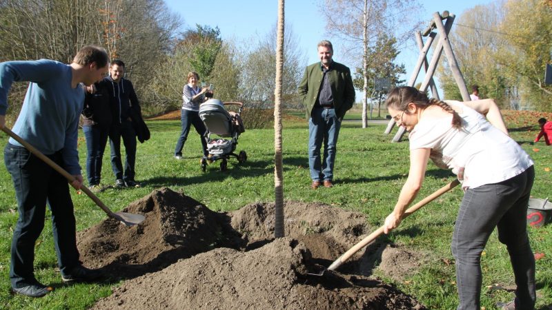 10. Baumpflanzaktion aus Anlass zur Geburt oder Hochzeit