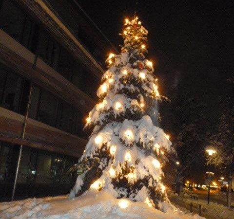 Unser Weihnachtsbaum vor dem Rathaus