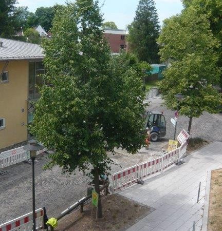 neue Furten vor dem Rathaus