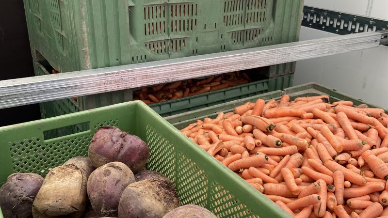 Neue Gemüselieferung im Ableger