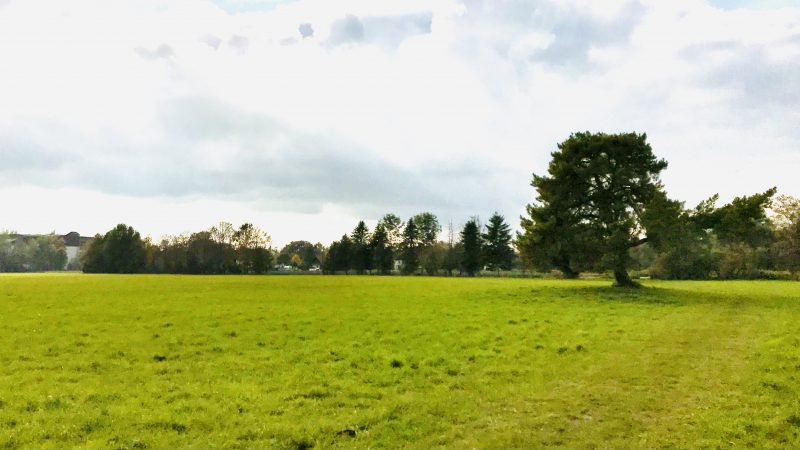 Rückblick auf ein ereignisreiches Jahr