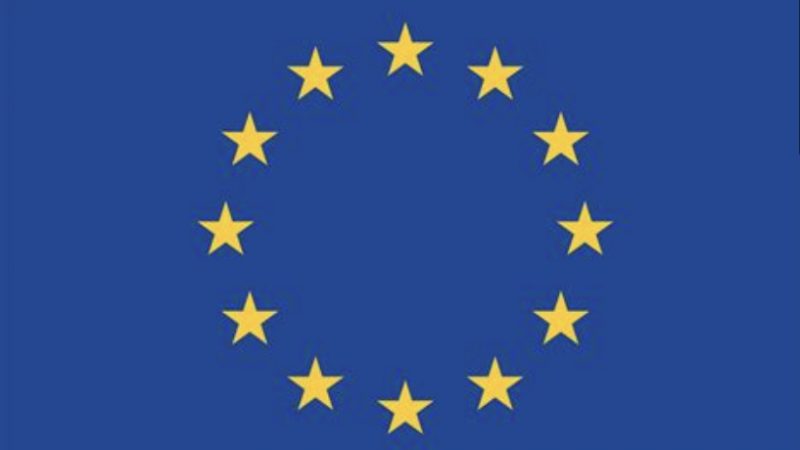 Europawahl 2024 Ergebnisse im Landkreis FFb