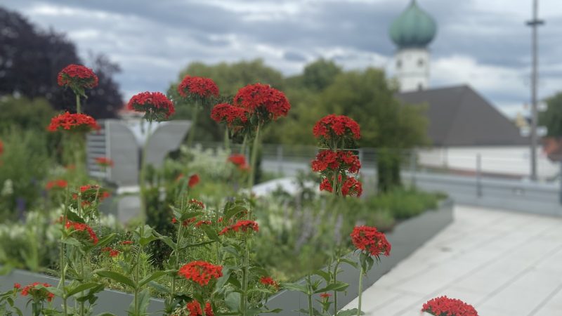 Morgen ist Bürgerversammlung