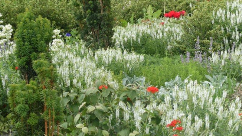 Urlaubsgrüße von eurer UWG