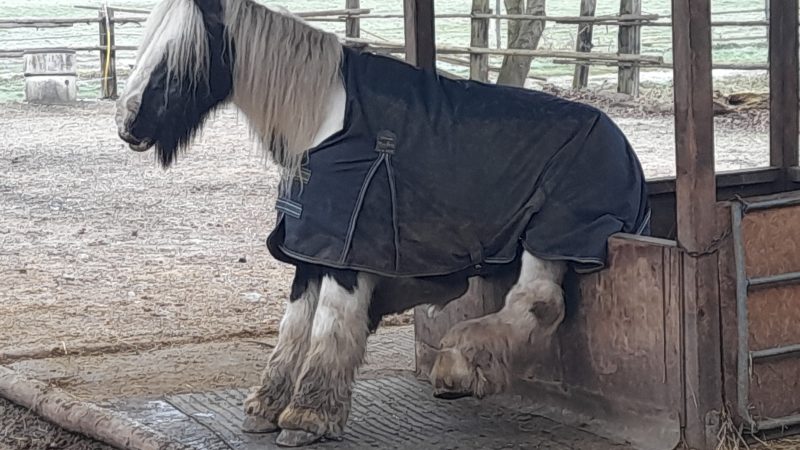 Die UWG wünscht allen ein frohes, neues Jahr …