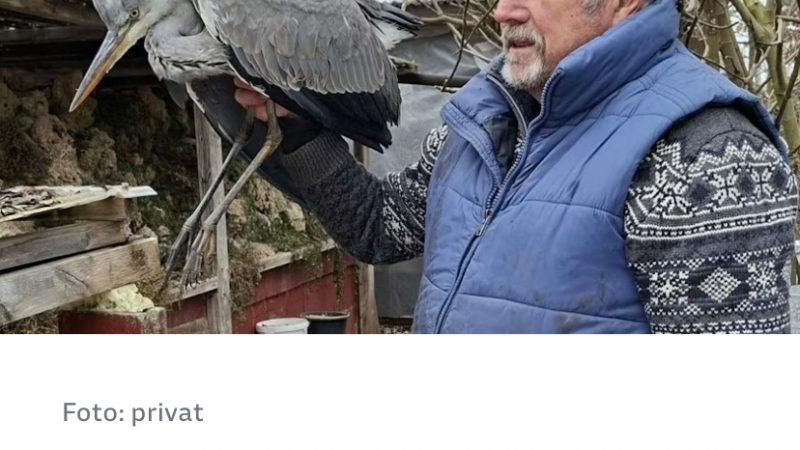 Auch im Winter ist er unabdinglich…